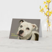 Geburtskarte des Hundes Karte (Gelbe Blume)
