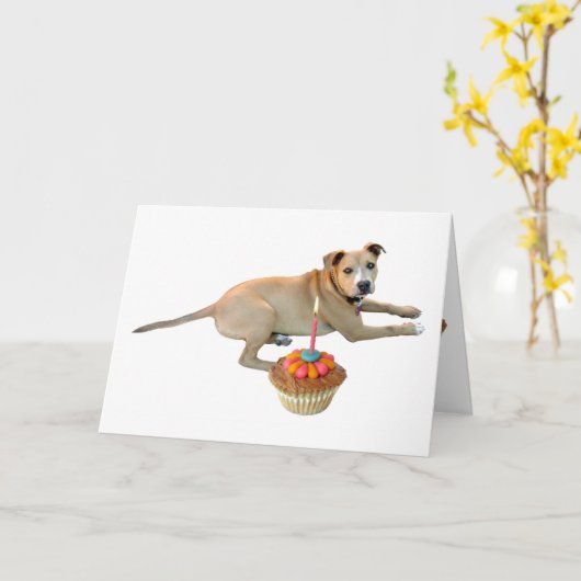 Geburtskarte des Hundes Karte (Gelbe Blume)