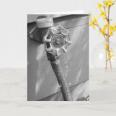 Geburtskarte "Drippy Garden Hose" Karte (Gelbe Blume)