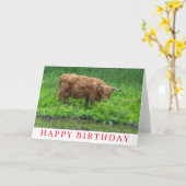 Geburtskarte für Highland Cow Karte (Gelbe Blume)