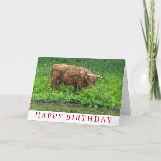Geburtskarte für Highland Cow Karte (Vorderseite)