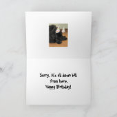 Geburtskarte für Hunde aus Neufundland Karte (Innenseite)