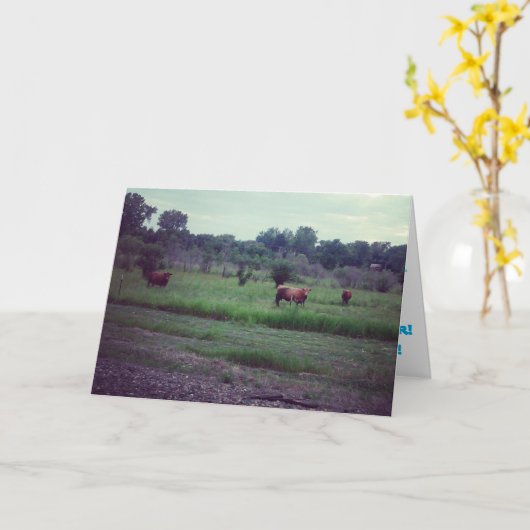 Geburtskarte "Herd der Kühe" Karte (Gelbe Blume)