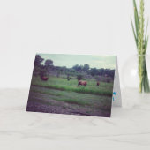 Geburtskarte "Herd der Kühe" Karte (Vorderseite)