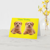 Geburtskarte Karte (Gelbe Blume)