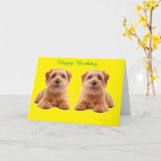 Geburtskarte Karte (Gelbe Blume)