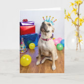 Geburtskarte Karte (Gelbe Blume)