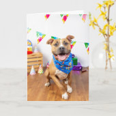 Geburtskarte Karte (Gelbe Blume)