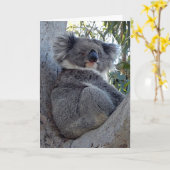 Geburtskarte Koala in einem Baum Karte (Gelbe Blume)