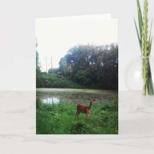 Geburtskarte "Lake Alimagnet Deer" Karte (Vorderseite)