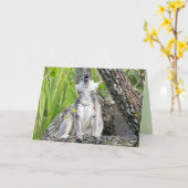 Geburtskarte "Lemur-Gram" Karte (Gelbe Blume)