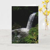 Geburtskarte "Minnehaha Falls #2" Karte (Gelbe Blume)