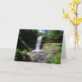 Geburtskarte "Minnehaha Falls #3" Karte (Gelbe Blume)