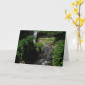 Geburtskarte "Minnehaha Falls #4" Karte (Gelbe Blume)