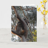 Geburtskarte - Schlafkoala Karte (Gelbe Blume)