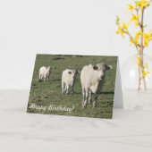 Geburtskarte von Charolais Karte (Gelbe Blume)