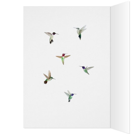 Geburtskarte von Costa's Hummingbird (Innen (Links))