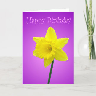 Geburtskarte von Daffodil Karte