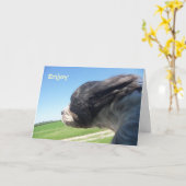 Geburtskarte von WindSwept Hund Karte (Gelbe Blume)