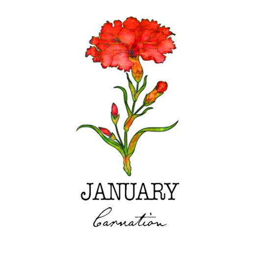 Geburtsmonat Januar Blume Carnation Hoodie