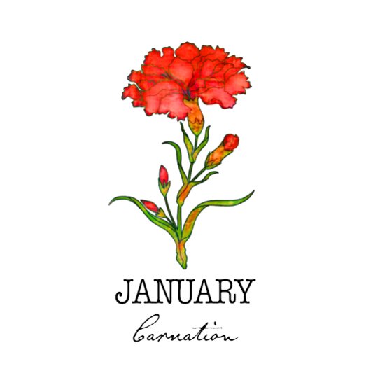 Geburtsmonat Januar Blume Nation Hoodie