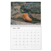 Geburtsmonat Vögel Kalender (Mär 2027)