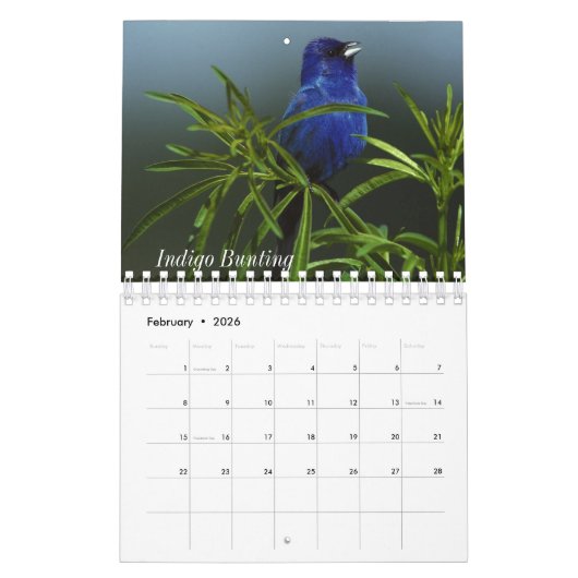 Geburtsmonat Vögel Kalender (Feb 2026)