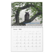 Geburtsmonat Vögel Kalender (Jan 2026)