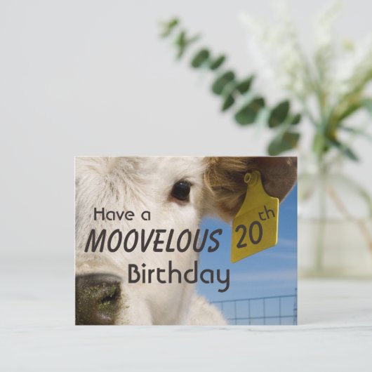 Geburtsnummer der Kuh Postkarte (Stehend Vorderseite)