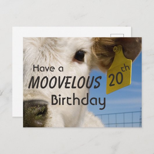 Geburtsnummer der Kuh Postkarte (Vorne/Hinten)