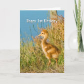 Geburtstag, 1., Baby Sandhill Kran Karte (Vorderseite)