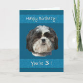 Geburtstag, 3., Shih Tzu Dog Karte (Vorderseite)