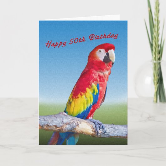 Geburtstag, 50., Macaw Parrot Karte (Vorderseite)
