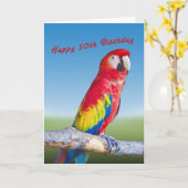 Geburtstag, 50., Macaw Parrot Karte (Gelbe Blume)