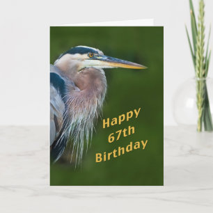 Geburtstag, 67., Great Blue Heron Bird Note Card Karte