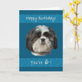 Geburtstag, 6., Shih Tzu Dog Karte (Gelbe Blume)
