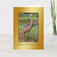 Geburtstag, 88., Sandhill Kran-Vogel