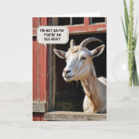 Geburtstag Alte Ziege In Scheune