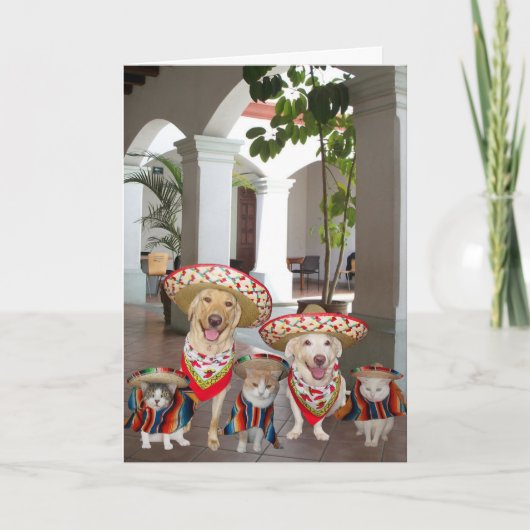 Geburtstag aus der Gruppe Spanisch Karte (Vorderseite)