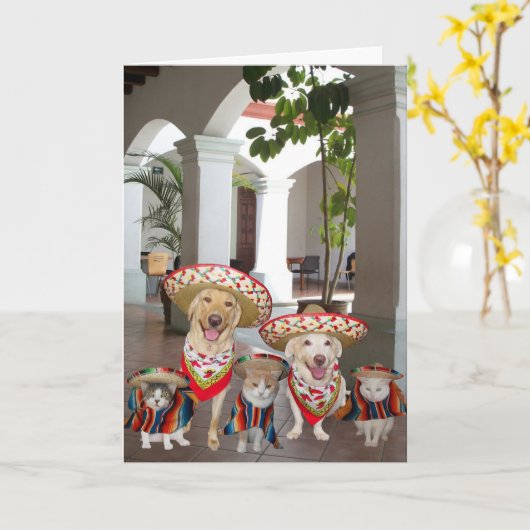 Geburtstag aus der Gruppe Spanisch Karte (Gelbe Blume)