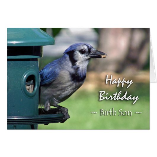 Geburtstag: Birth Son Blue Jay auf Vogeleinzug (Vorderseite (Horizontal))