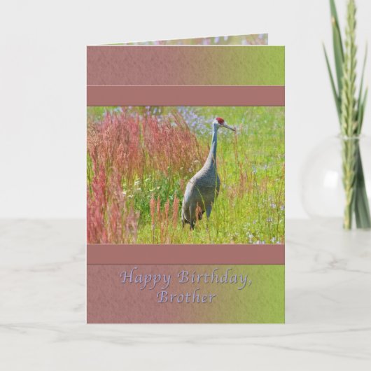 Geburtstag, Bruder, Sandhill Crane Bird Karte (Vorderseite)