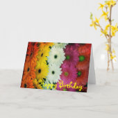 Geburtstag card~ buntes Gerbera-Gänseblümchen Karte (Gelbe Blume)