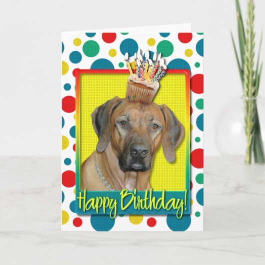 Geburtstag Cupcake - Rhodesian Ridgeback Karte (Vorderseite)
