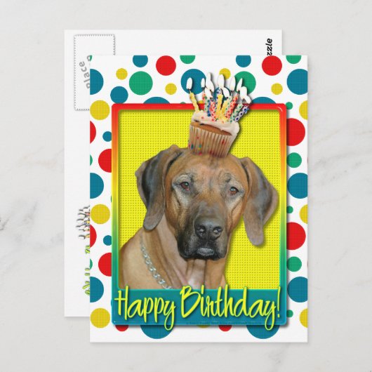 Geburtstag Cupcake - Rhodesian Ridgeback Postkarte (Vorne/Hinten)
