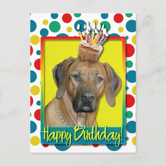 Geburtstag Cupcake - Rhodesian Ridgeback Postkarte (Vorderseite)