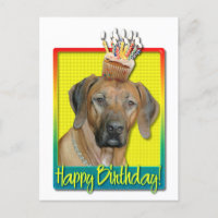 Geburtstag Cupcake - Rhodesian Ridgeback