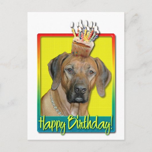 Geburtstag Cupcake - Rhodesian Ridgeback Postkarte (Vorderseite)