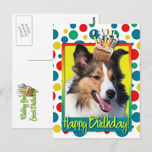 Geburtstag Cupcake - Sheltie Postkarte (Vorne/Hinten)
