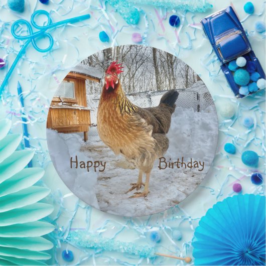 Geburtstag des verzierten Hühnchens Pappteller (Party)